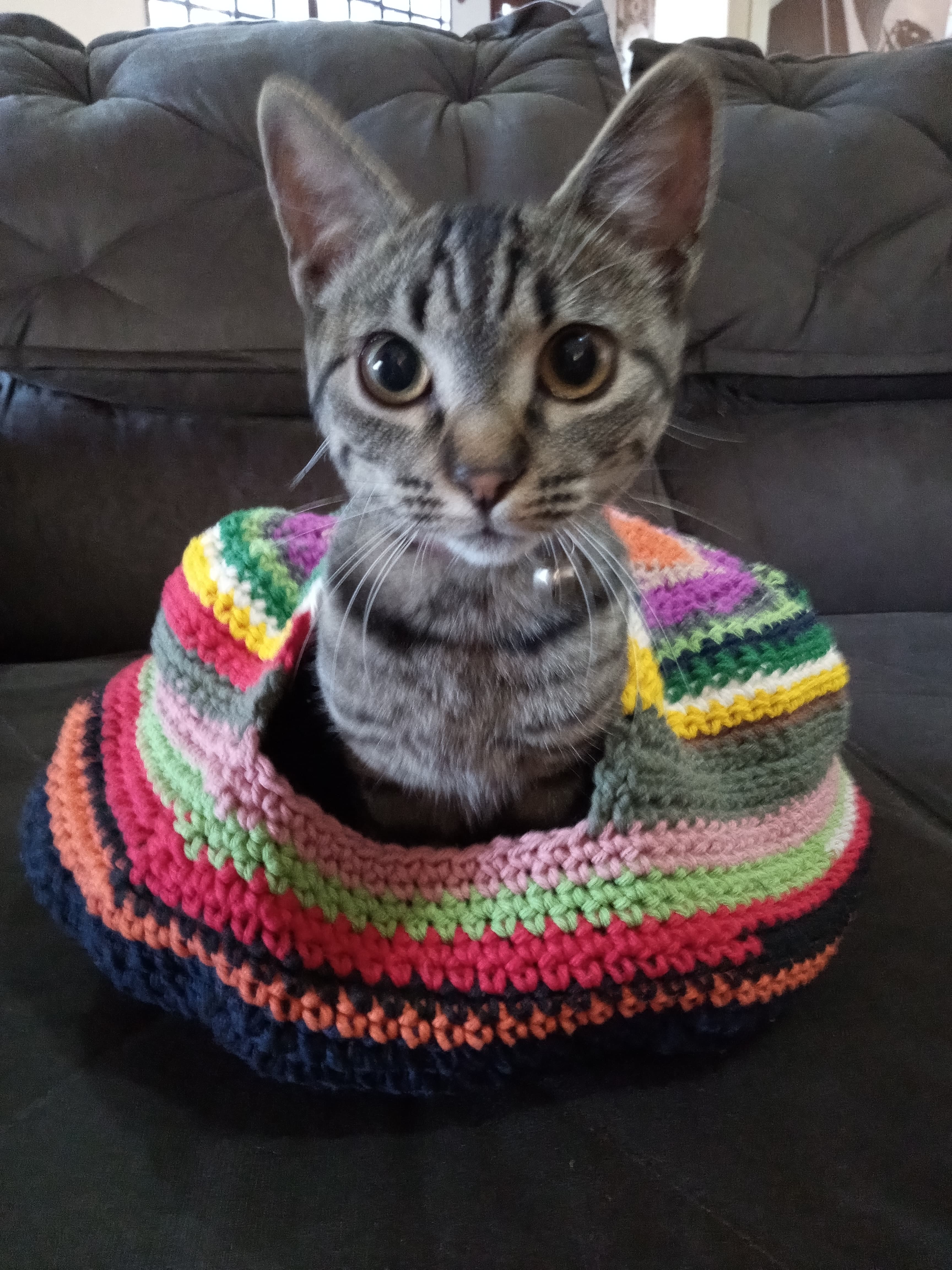 Cama Toca para Gato em Crochê