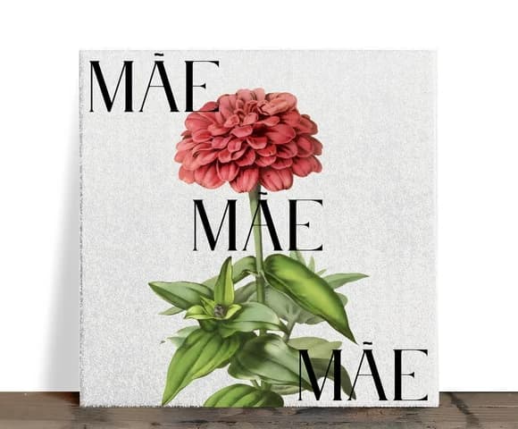 Azulejo Decorativo Mãe Botânico Flor Vermelha 15x15