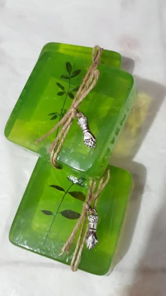 Arruda - 100% Natural 100 Gramas