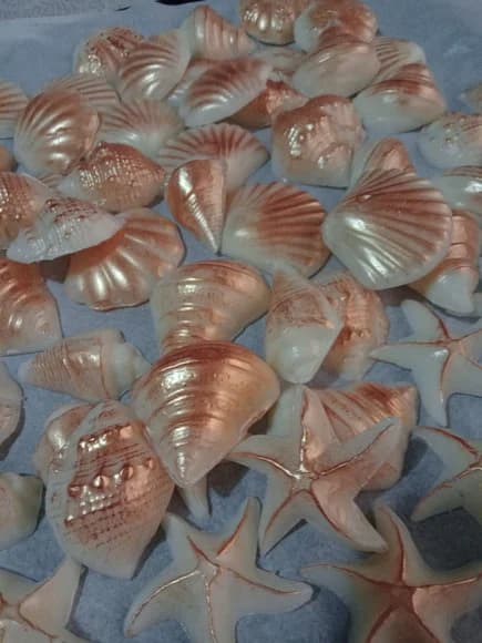 Conchas e Estrelas Douradas (sortidas)
