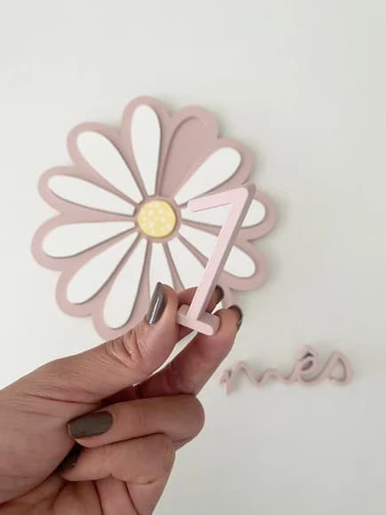 Kit Mêsversário - Flor 12 Pétalas - Cenário para Fotos Bebê