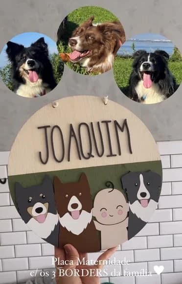 Novo - Placa Decorativa Personalizada Cachorro Pet - 30cm