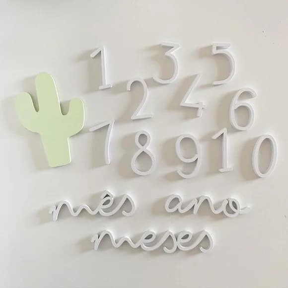 Kit Mesversário - Modelo Cacto Minimalista