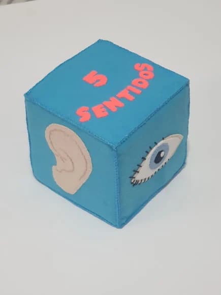 Cubo Pedagógico 5 (cinco) Sentidos ,enchimento Espuma