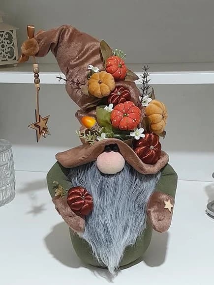 Gnomo da Floresta