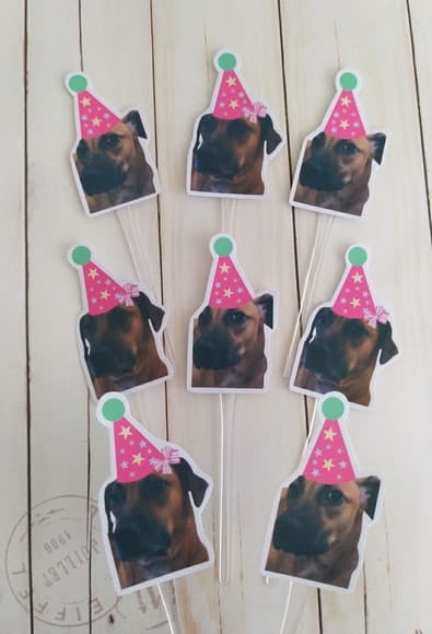 Topper para Docinhos Pet Cachorro com Foto e Chapeuzinho