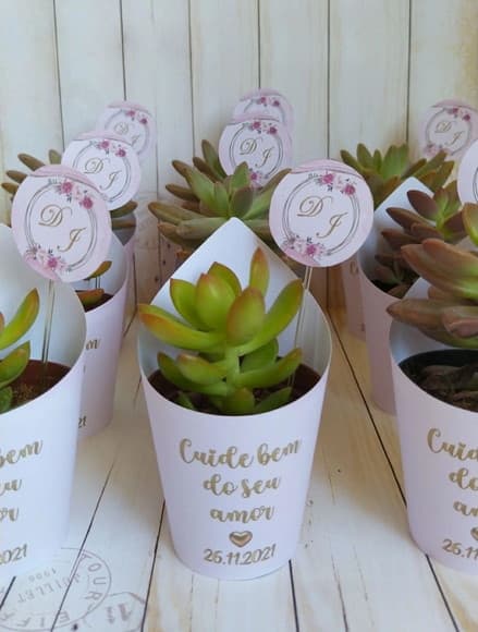 Rótulo + Tag para Mini Suculentas Casamento/noivado